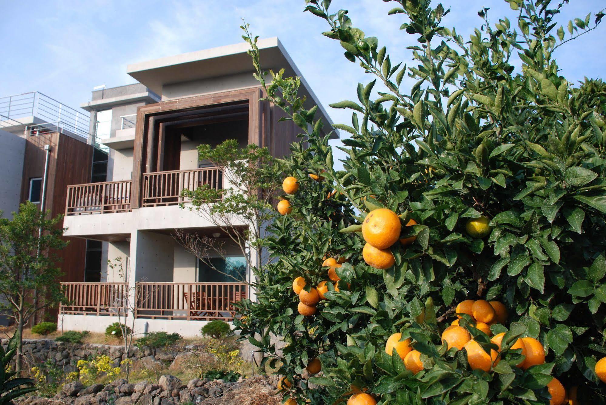 Jeju Eco Suites Seogwipo Luaran gambar