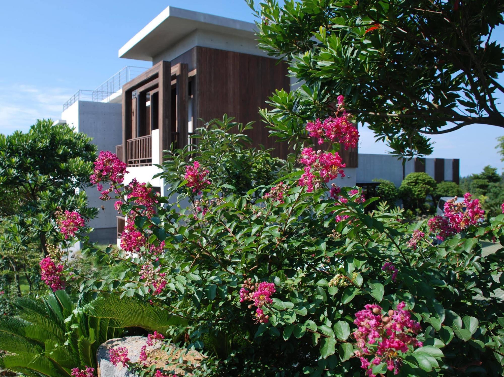 Jeju Eco Suites Seogwipo Luaran gambar