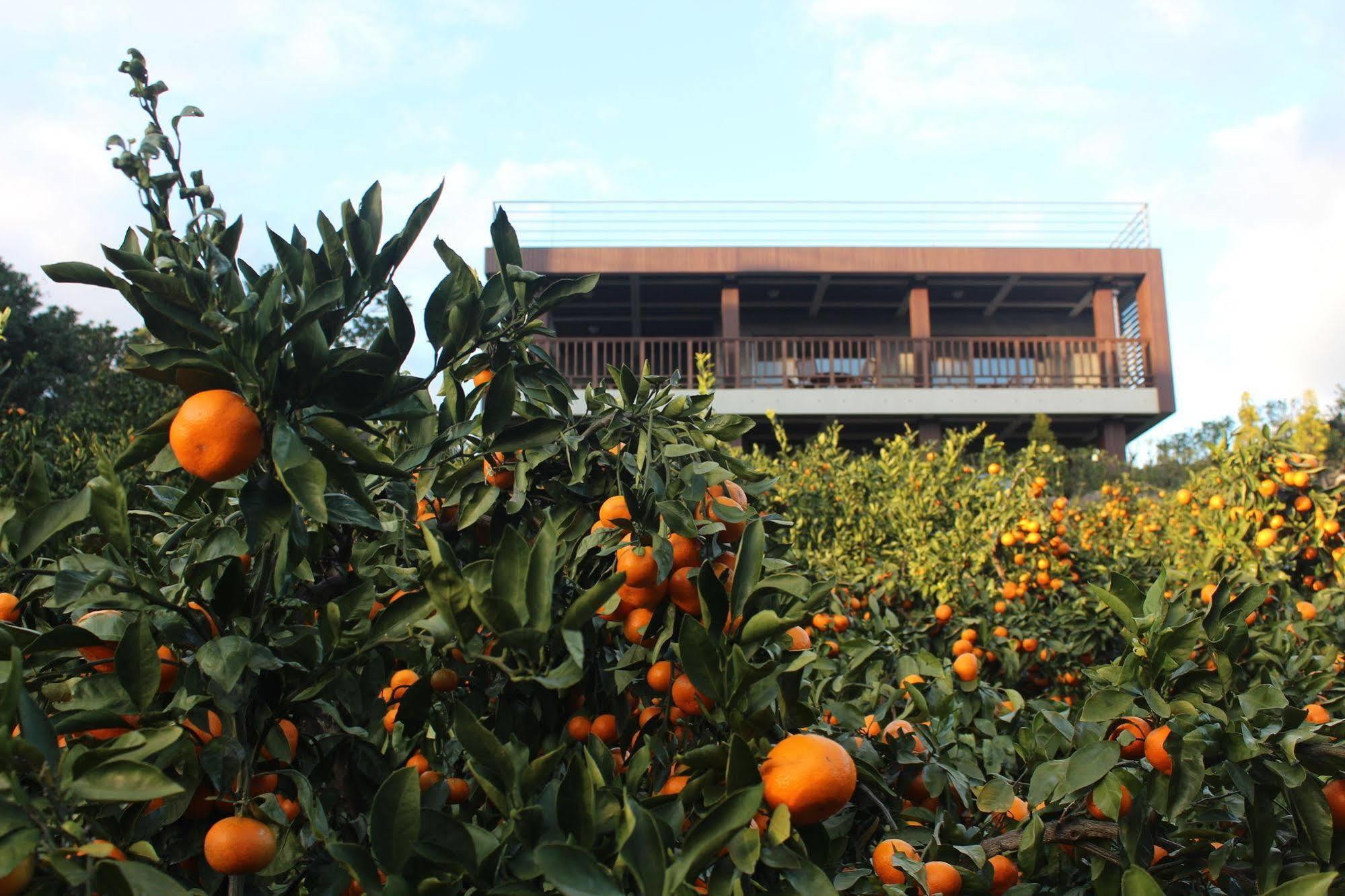 Jeju Eco Suites Seogwipo Luaran gambar